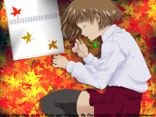 обоя shion, no, ou, аниме