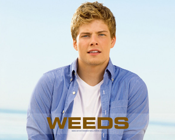 Обои картинки фото кино, фильмы, weeds