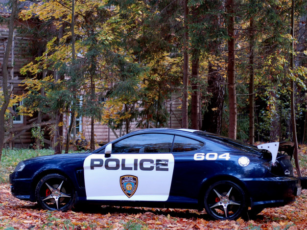 Обои картинки фото by, northwolf, автомобили, hyundai