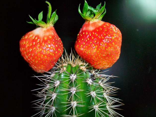 Обои картинки фото еда, клубника, земляника