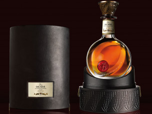 Картинка bacardi бренды ром