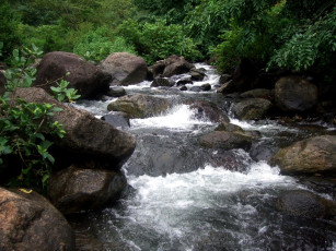 Картинка природа реки озера вода камни лето