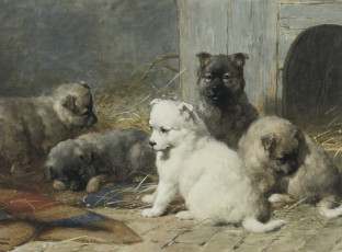 Картинка рисованные otto eerelman