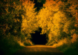 Картинка природа дороги осень