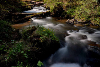 Картинка природа реки озера river