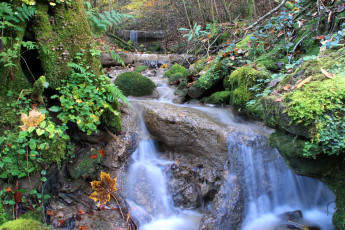 Картинка природа реки озера мох трава камни вода