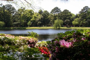 Картинка природа реки озера usa charleston