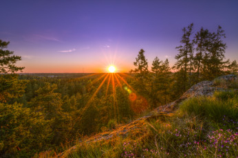 Картинка природа восходы закаты пейзаж деревья закат лес