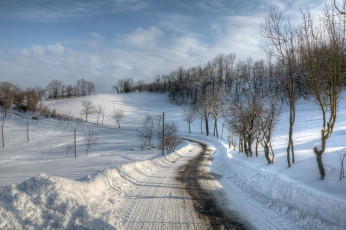 Картинка природа зима деревья снег