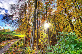 Картинка природа восходы закаты лучи свет осень дорога