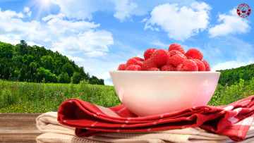 Картинка еда малина луг ягоды