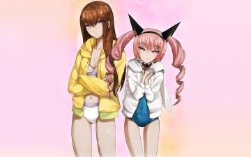 Картинка аниме steins gate 