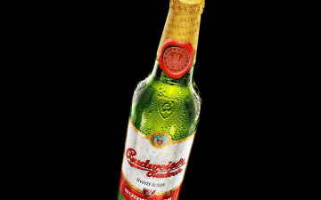 Картинка budweiser бренды пиво