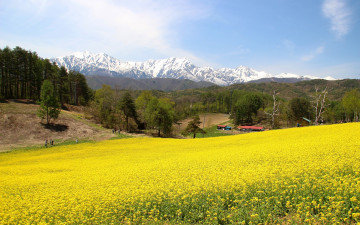 Картинка природа поля дома лес горы