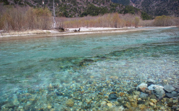 Картинка природа реки озера весна река