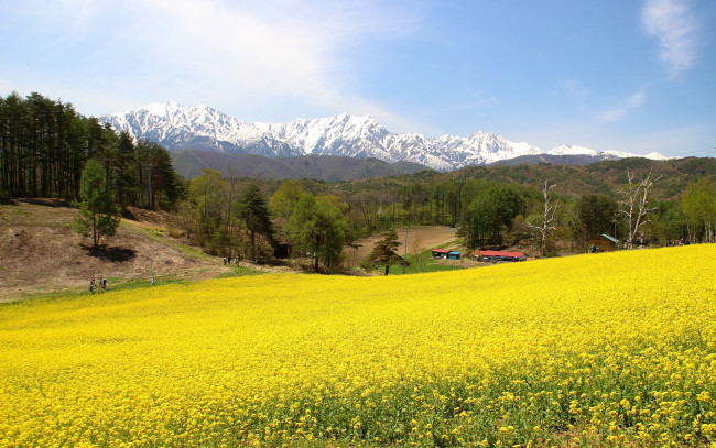 Обои картинки фото природа, поля, дома, лес, горы