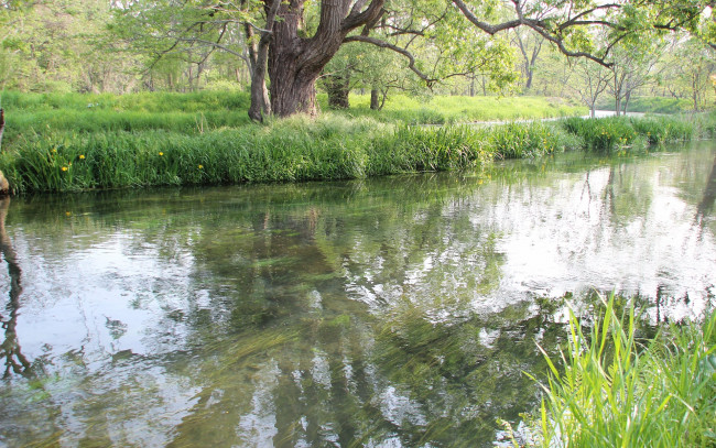 Обои картинки фото природа, реки, озера, цветы, яблоня, весна