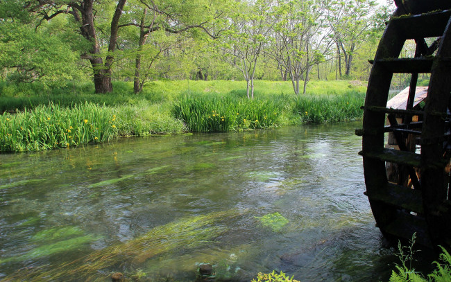 Обои картинки фото природа, реки, озера, цветы, яблоня, весна