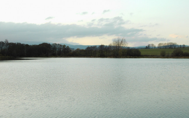 Обои картинки фото природа, реки, озера, река, вода, деревья