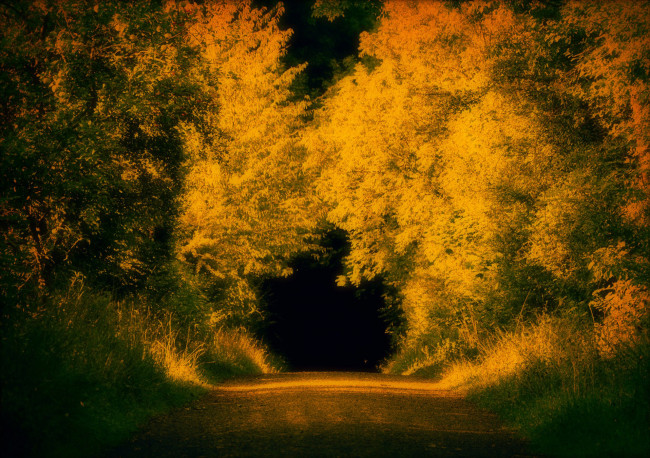 Обои картинки фото природа, дороги, осень