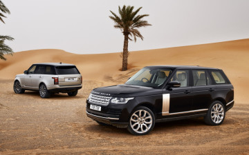 Картинка автомобили land rover песок пустыня пальмы небо