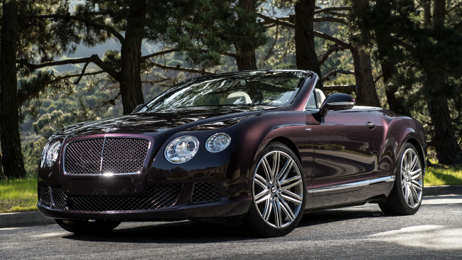 Обои картинки фото bentley, continental, автомобили, великобритания, motors, элитные, премиум-класс