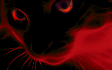 Картинка рисованные минимализм кот