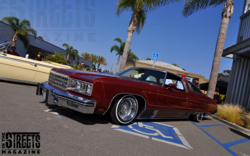 Картинка автомобили выставки+и+уличные+фото caprise