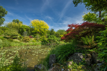 Картинка природа реки озера лес река