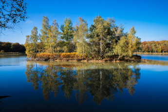 Картинка природа реки озера река лес