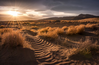 Картинка природа пустыни простор