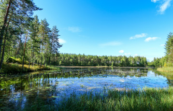 Картинка природа реки озера река лес