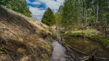 Картинка природа реки озера река лес