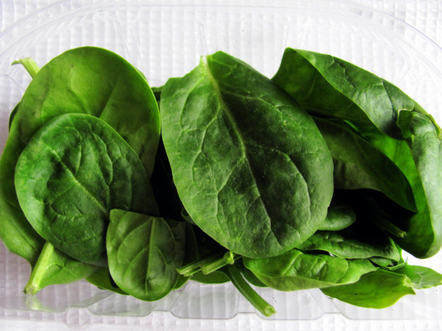 Обои картинки фото еда, овощи, шпинат