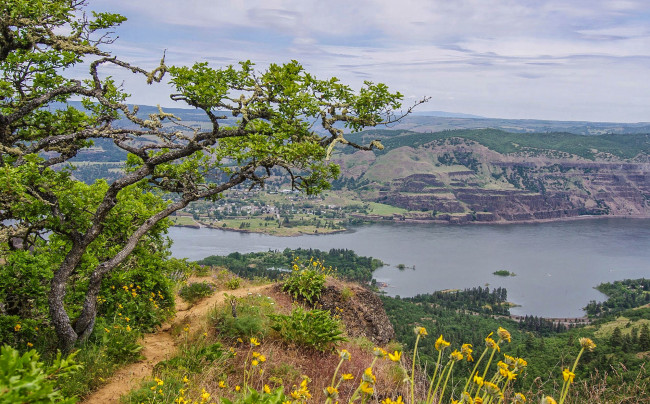 Обои картинки фото природа, реки, озера, река, лес