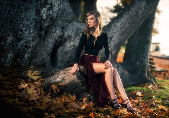 Обои картинки фото девушки, -unsort , брюнетки,  шатенки, kyle, cong