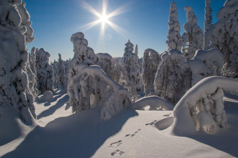 Картинка природа зима простор