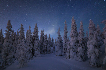 Картинка природа зима простор