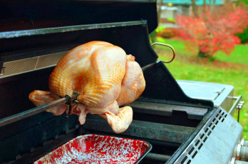 Картинка еда мясные+блюда курица