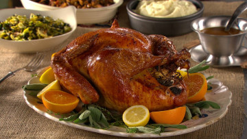 Картинка еда мясные+блюда курица