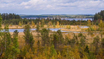 Картинка природа пейзажи простор