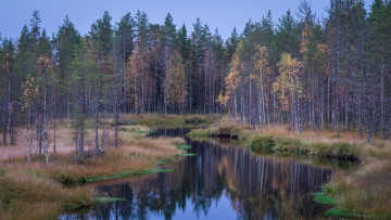 Картинка природа реки озера простор