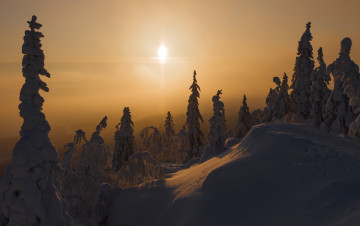 Картинка природа зима простор