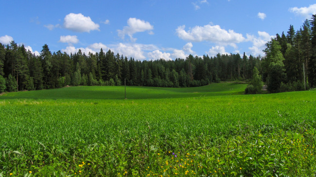Обои картинки фото природа, луга, простор