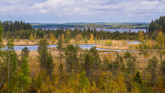 Обои картинки фото природа, пейзажи, простор