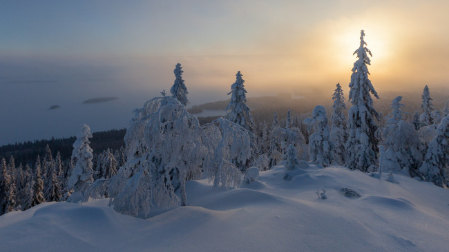 Обои картинки фото природа, зима, простор