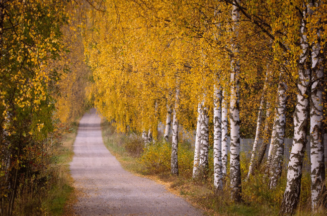 Обои картинки фото природа, дороги, простор