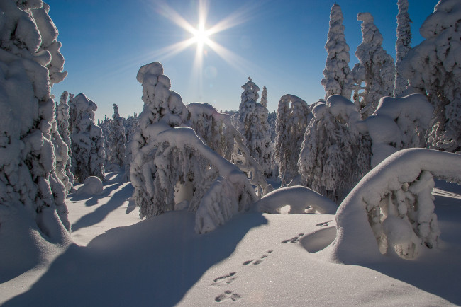 Обои картинки фото природа, зима, простор