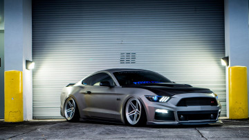 Картинка автомобили mustang ford gt