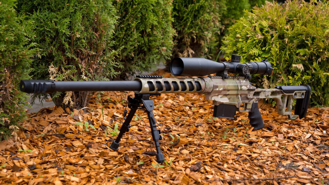 Обои картинки фото оружие, снайперская винтовка, тсвл-8, сталинград